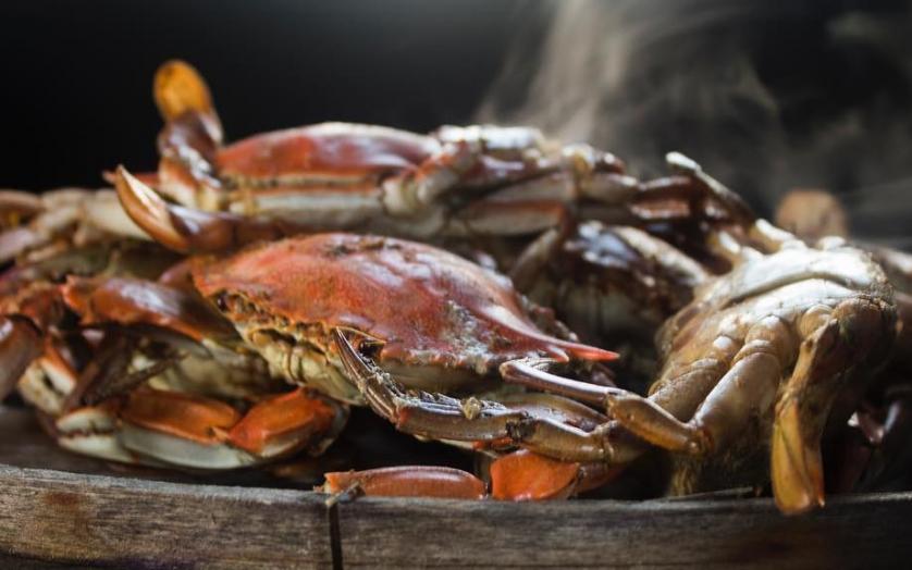 Crabs
