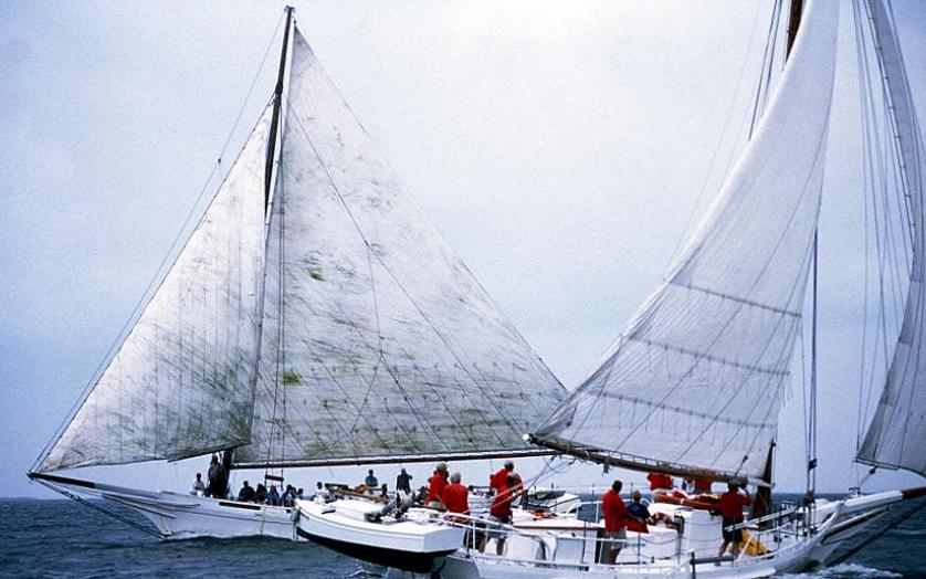 Deal Island Skipjack Races