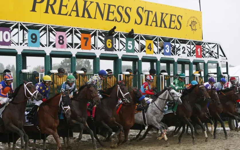 Horse racing  in Maryland