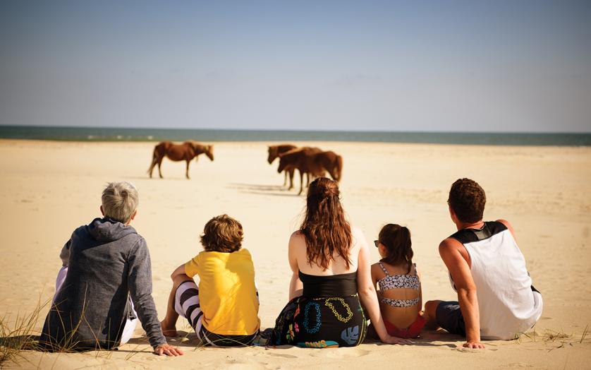Family watching ponies on Assateague