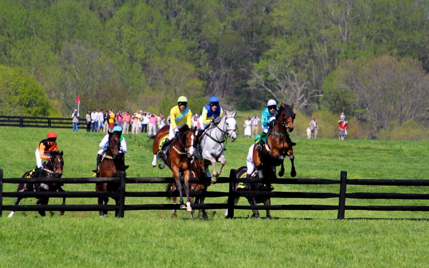 Steeplechase Events