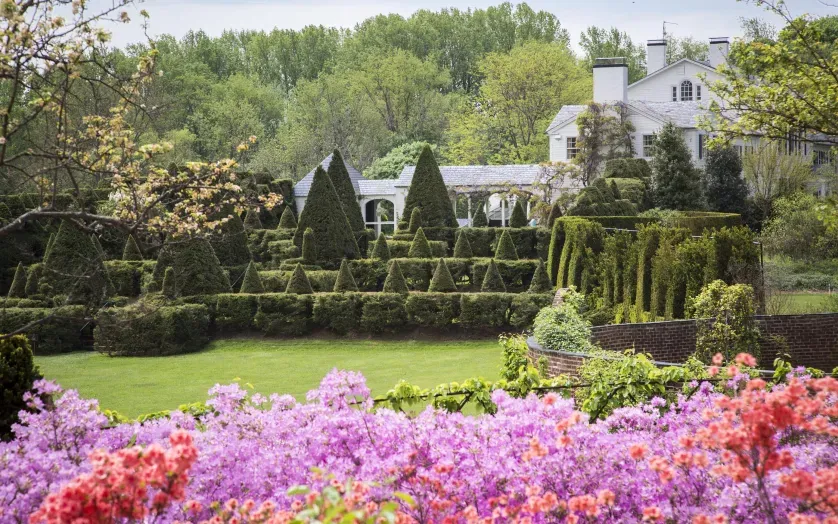 Ladew Topiary Gardens - Azaleas