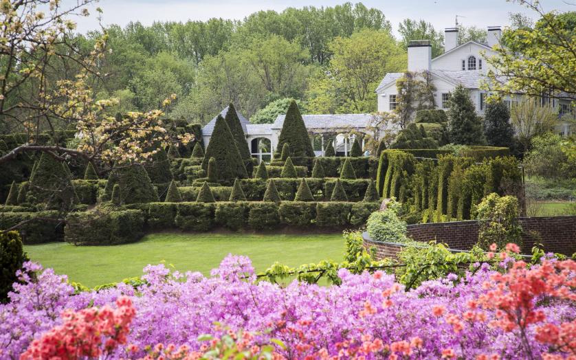 Ladew Topiary Gardens - Azaleas