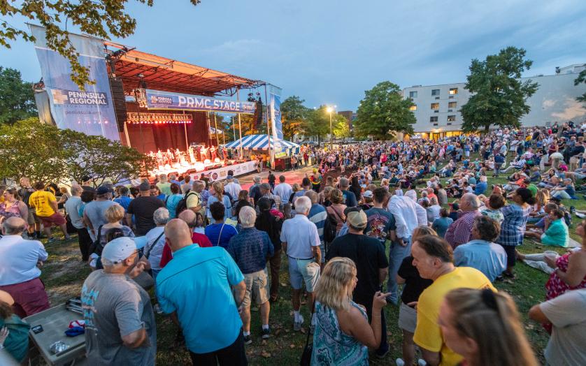 People sit and stand on the grassy area at the National Folk Festival.