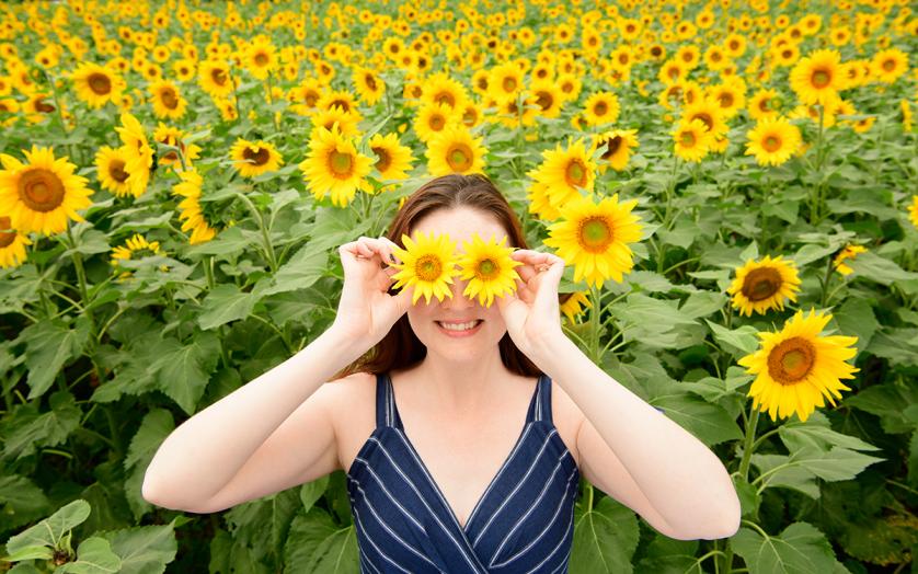 Top Things To See And Do In Central Maryland Visitmaryland Org