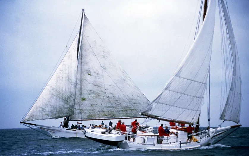 Skipjack Race and Festival