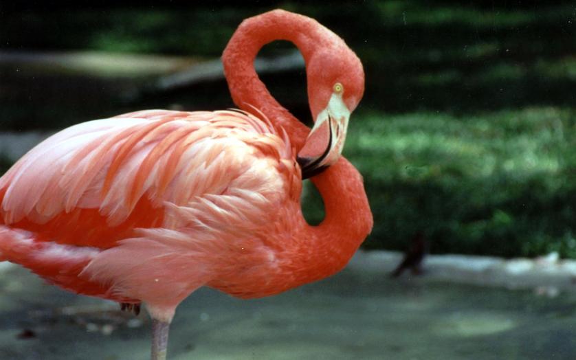 Salisbury Zoo