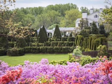 Ladew Topiary Gardens - Azaleas