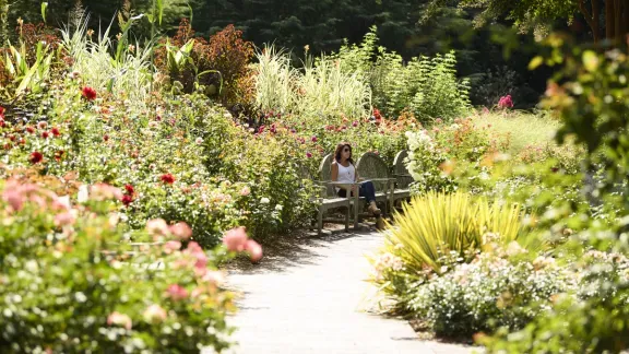 Brookside Gardens Pathway with Visitors