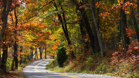 Scenic Road with Fall Foliage