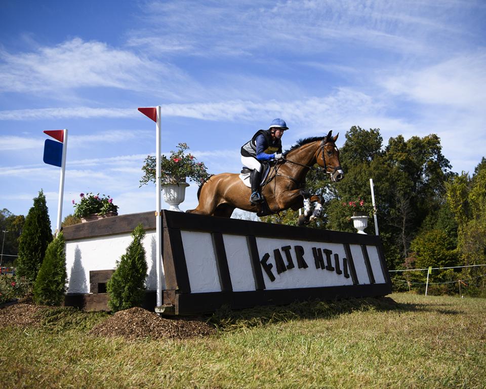 Horse jumping a fence