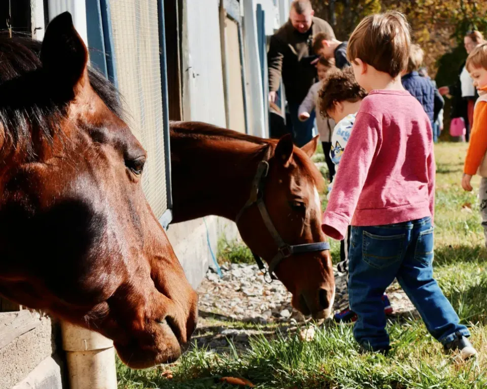 Potomac Horse Center