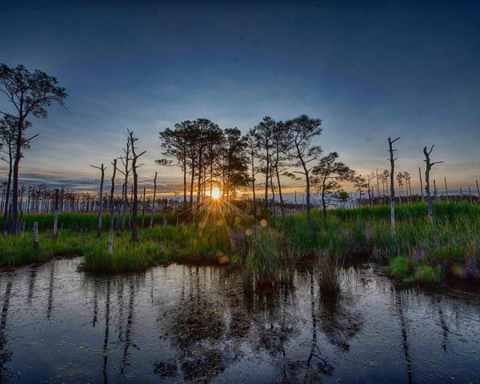Blackwater National Wildlife Refuge at Sunrise