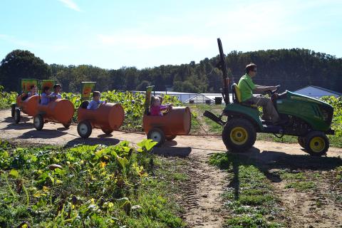 Children on the Pumpkin Express Ride at Homestead Gardens during Fall Fest