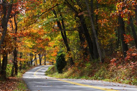 Scenic Road with Fall Foliage