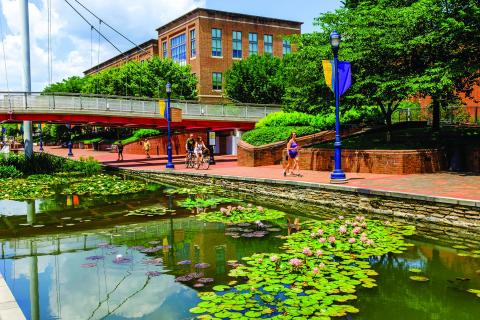 Image result for carroll creek park