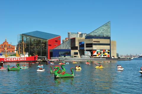 Baltimore National Aquarium