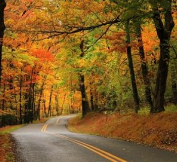 https://www.visitdeepcreek.com/autumnglory/ Photo