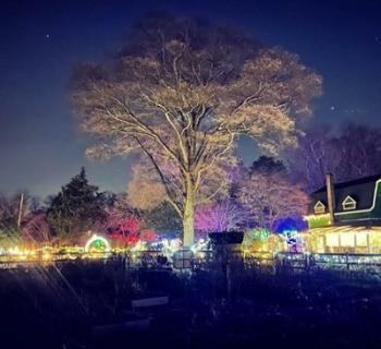 Willow Oak's North Pole Trail Photo