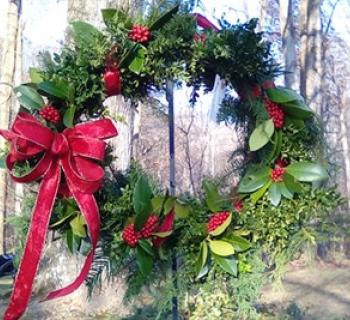 A live wreath with red ribbon Photo