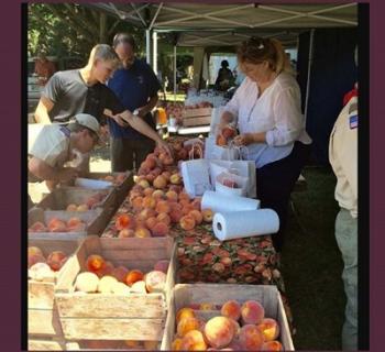 Berlin Peach Festival Photo