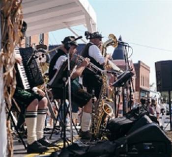 The Edelweiss Band Photo