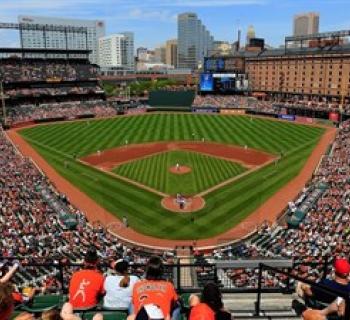 Baltimore Orioles Photo