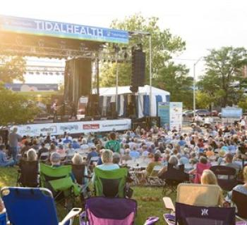 Folk Festival Photo