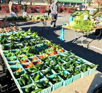 We have fresh produce right from the farm. Photo