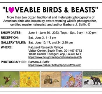 Loveable Birds & Beasts nature photography exhibit. Photo