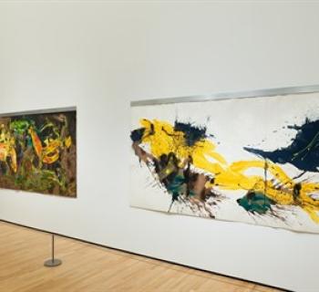 Martha Jackson Jarvis: What the Trees Have Seen installation Photo