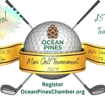 Mini Golf Tournament Photo