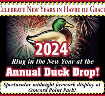 New Year's Eve Duck Drop Photo