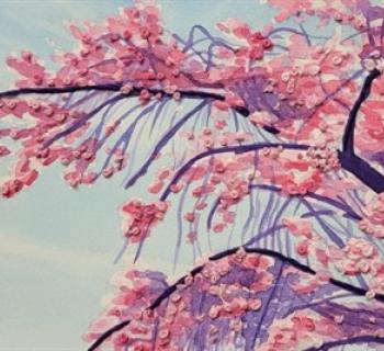 Detail of a cherry blossom tree against a blue sky. Photo