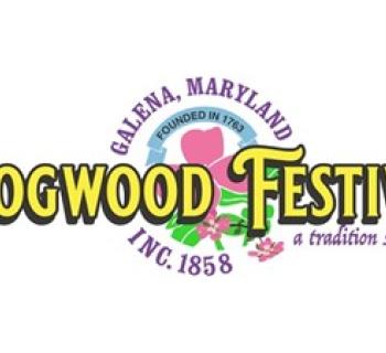 Dogwood Festival Photo