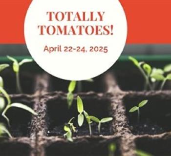 Totally Tomatoes Photo