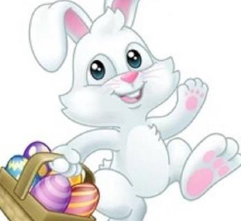Easter Bunny Photo