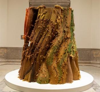 Installation view of Malcolm Peacock: a signal, a sprout  Photo