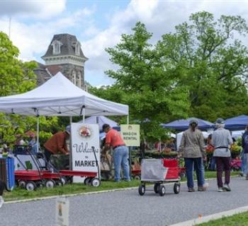 Market Day 2024 Photo