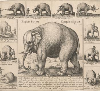 Wenceslaus Hollar (Bohemian, 1607-1677). The Tame Elephant. 1629.  Photo