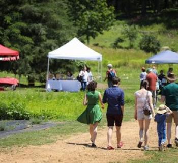 Soleado Lavender Farm Summer Events Photo