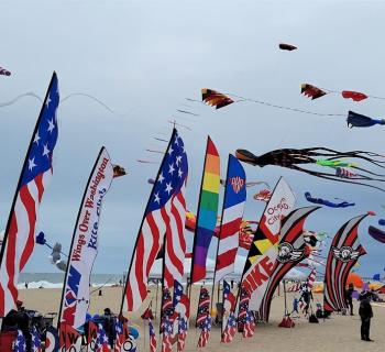 Sunfest Kite Fest on the beach at The Kite Loft Photo