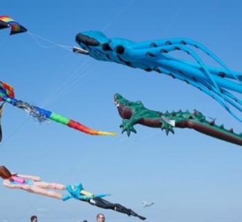 kite fest Photo