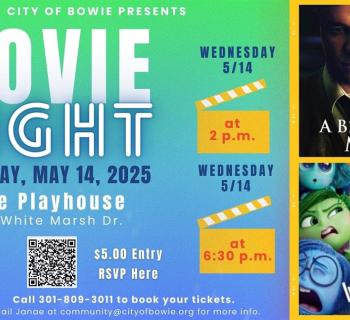 Movie Night Photo