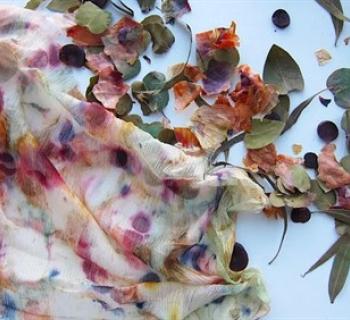 Enjoy a full day of hands-on natural dyeing and creative exploration Photo