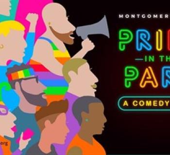 Pride in the Park Photo