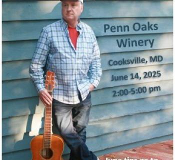 Kelly Kalb Acoustic Artist  Photo