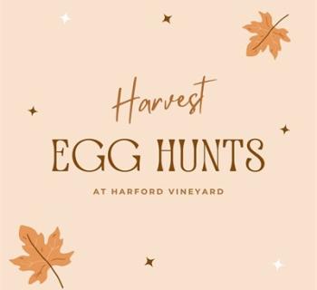 Harvest Hunt Photo