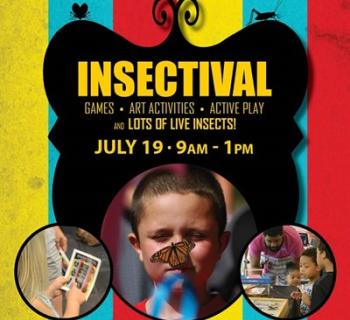 Image with event details and kid with butterfly on his nose Photo