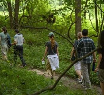 A group of people walking in the woods. Photo